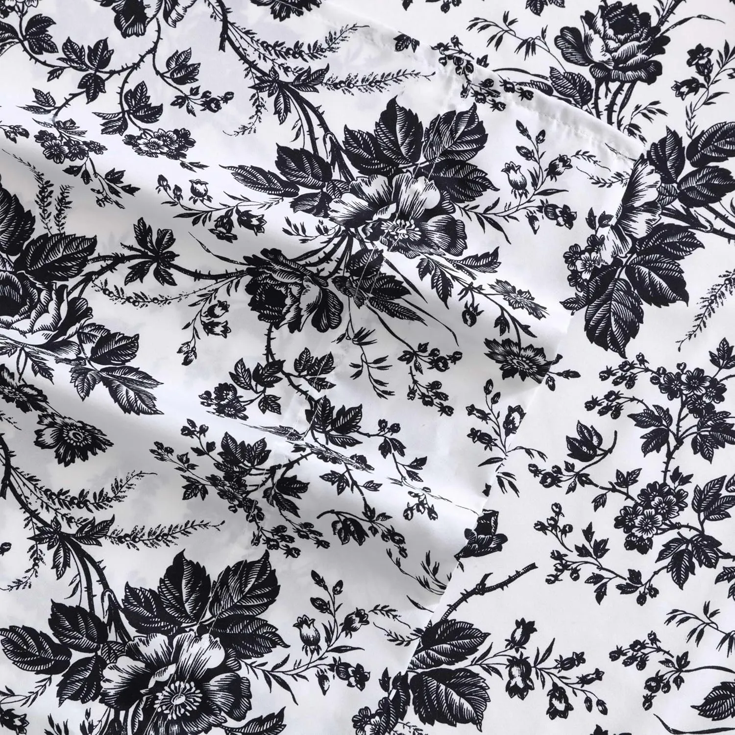 Betsey Johnson - Queen Bed Sheets, Soft & Lightweight Bedding, Fade & Wrinkle Resistant (Betseys Toile Black, Queen)
