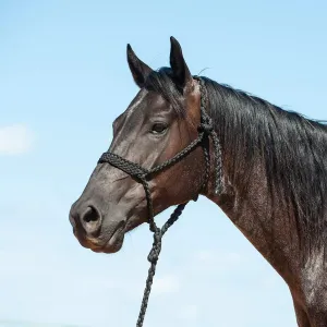 Cashel Flat Braid Halter and Leadrope