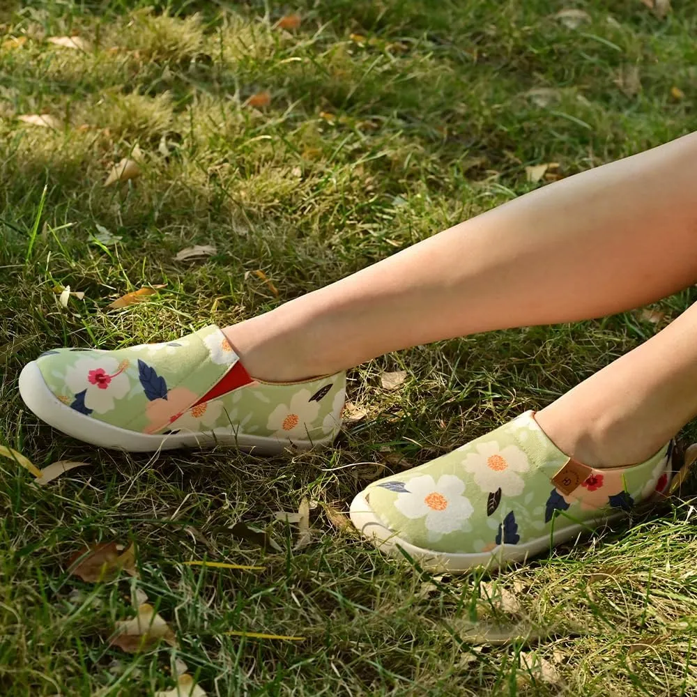 Casual Walking Shoes，Slip on Canvas，Lightweight Sneaker，Comfort Travel Loafer Stylish Printed Flat Multi Color