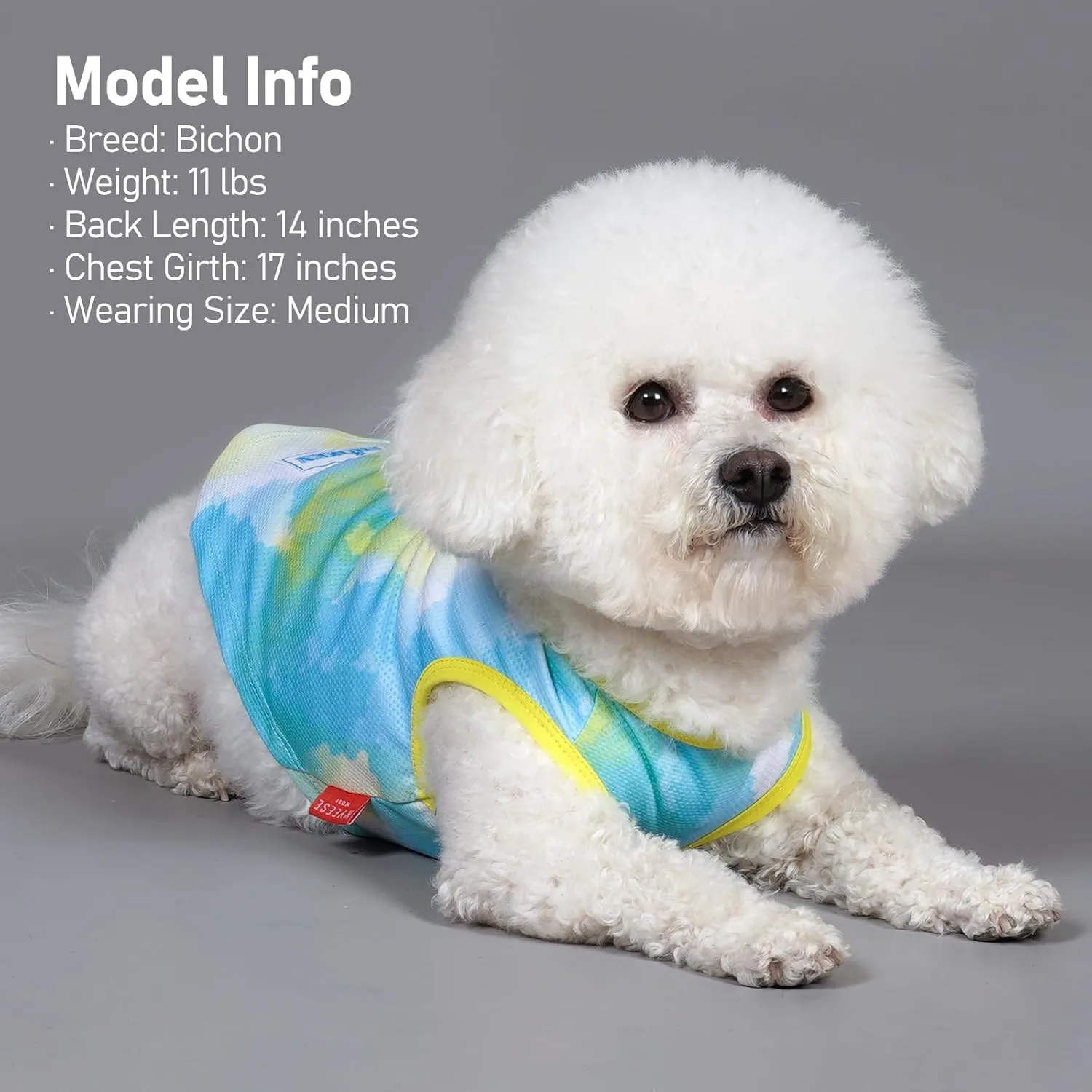 KYEESE 2 Pack Dog Cooling Shirts Quick Dry Instant Cooling Dog Vest for Small Dogs Breathable Sleeveless Vest Lightweight Soft Cooling Vest for Beach, Hiking, Walking on Summer
