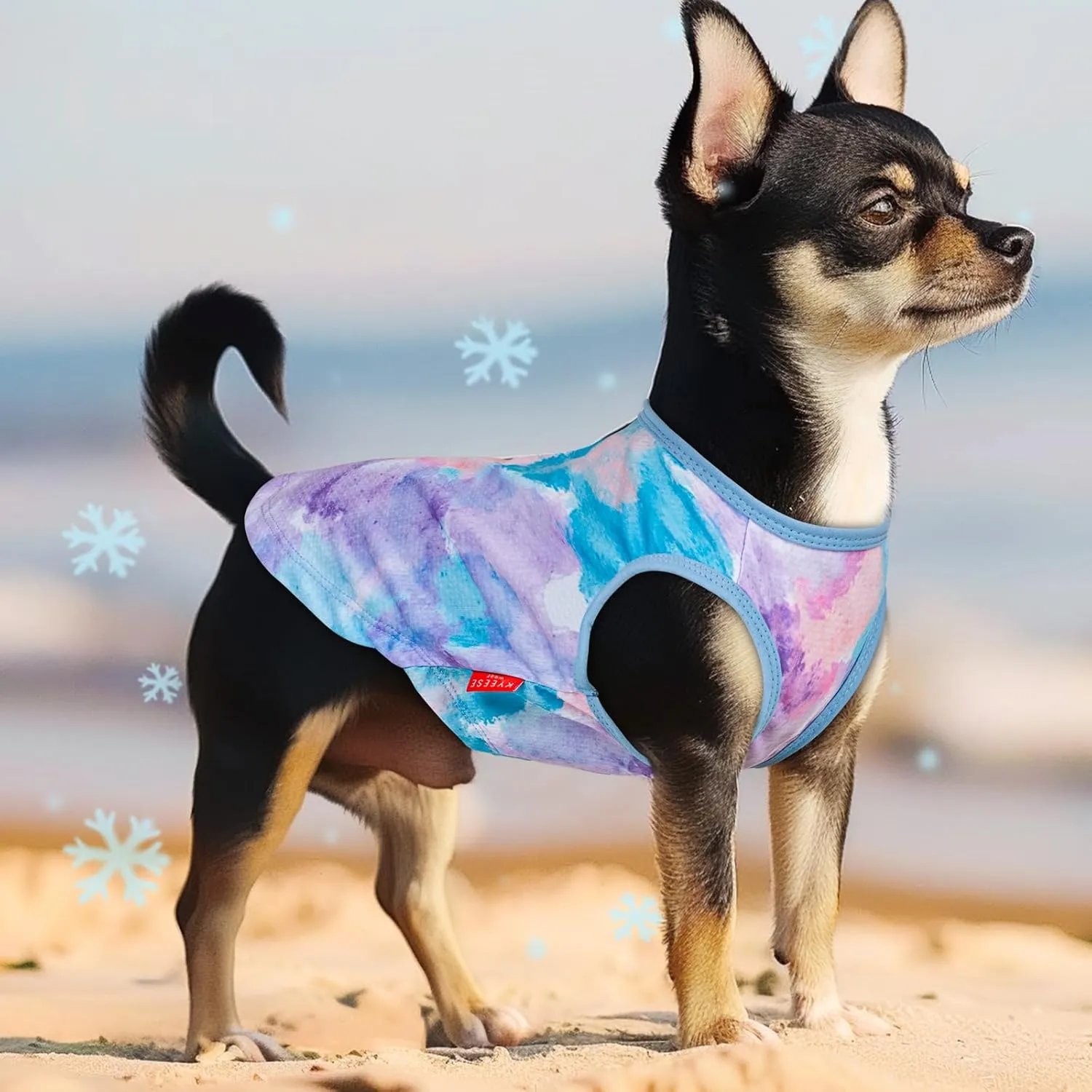 KYEESE 2 Pack Dog Cooling Shirts Quick Dry Instant Cooling Dog Vest for Small Dogs Breathable Sleeveless Vest Lightweight Soft Cooling Vest for Beach, Hiking, Walking on Summer