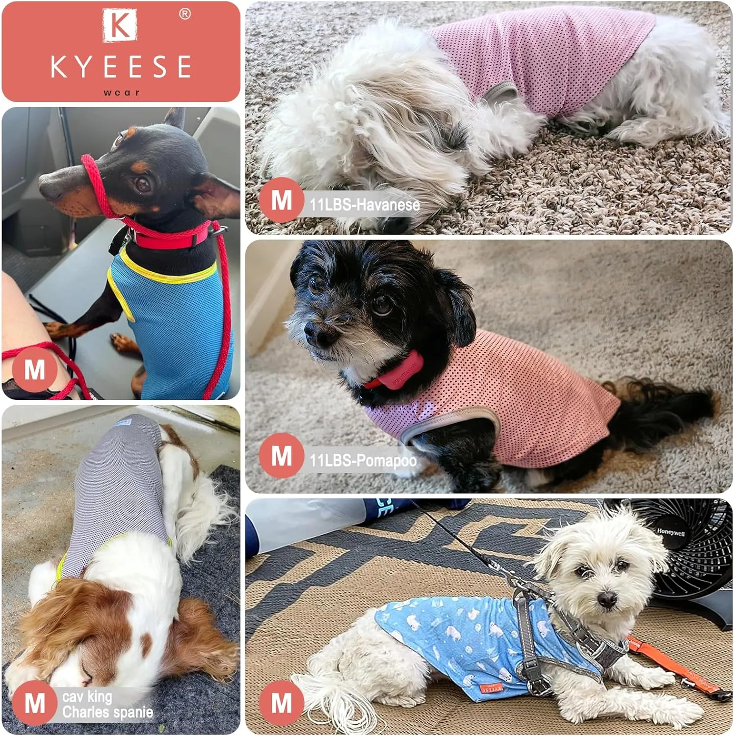 KYEESE 2 Pack Dog Cooling Shirts Quick Dry Instant Cooling Dog Vest for Small Dogs Breathable Sleeveless Vest Lightweight Soft Cooling Vest for Beach, Hiking, Walking on Summer