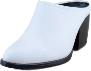 Naturalizer Women's Fairmont Mules