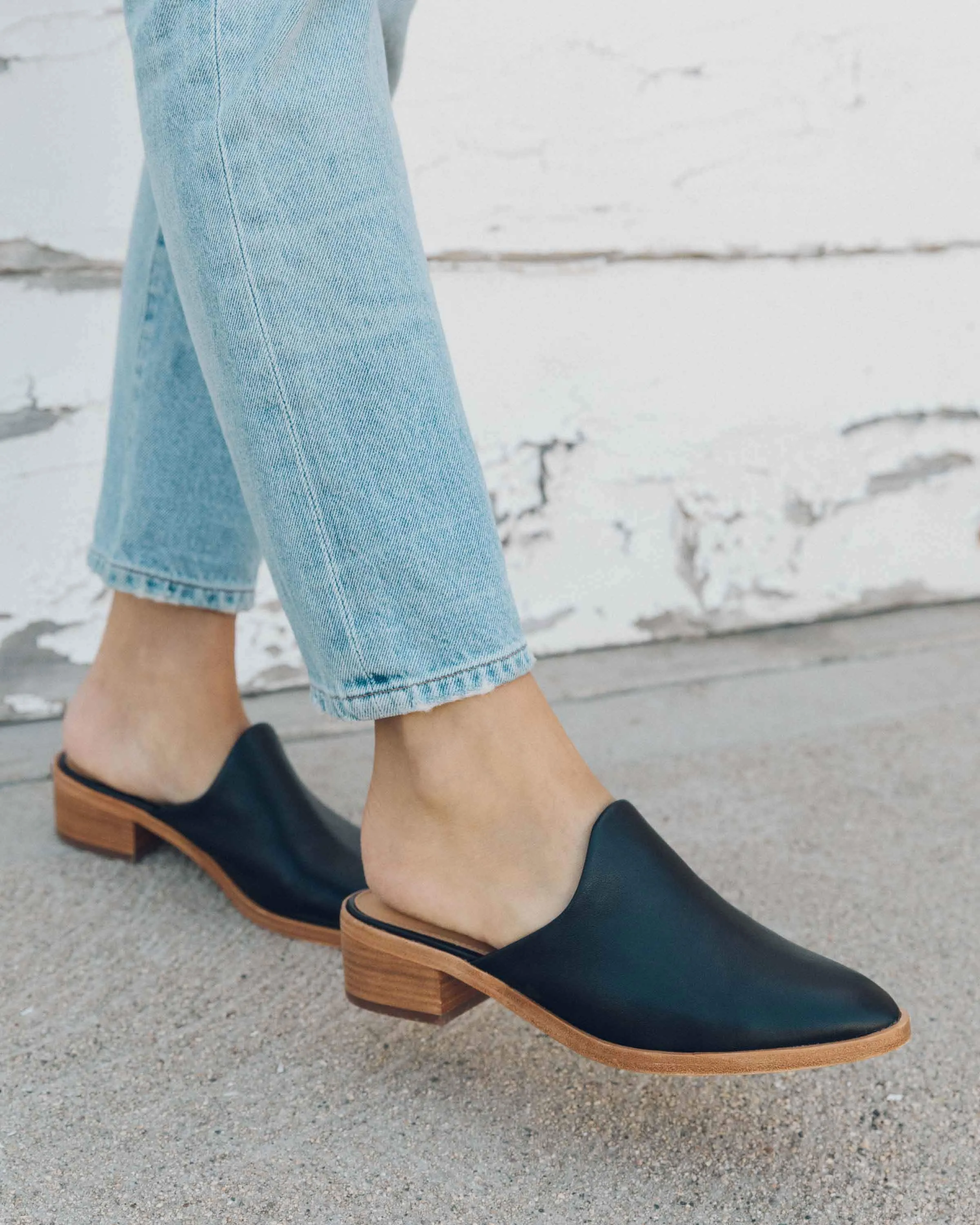 Venetian Mule