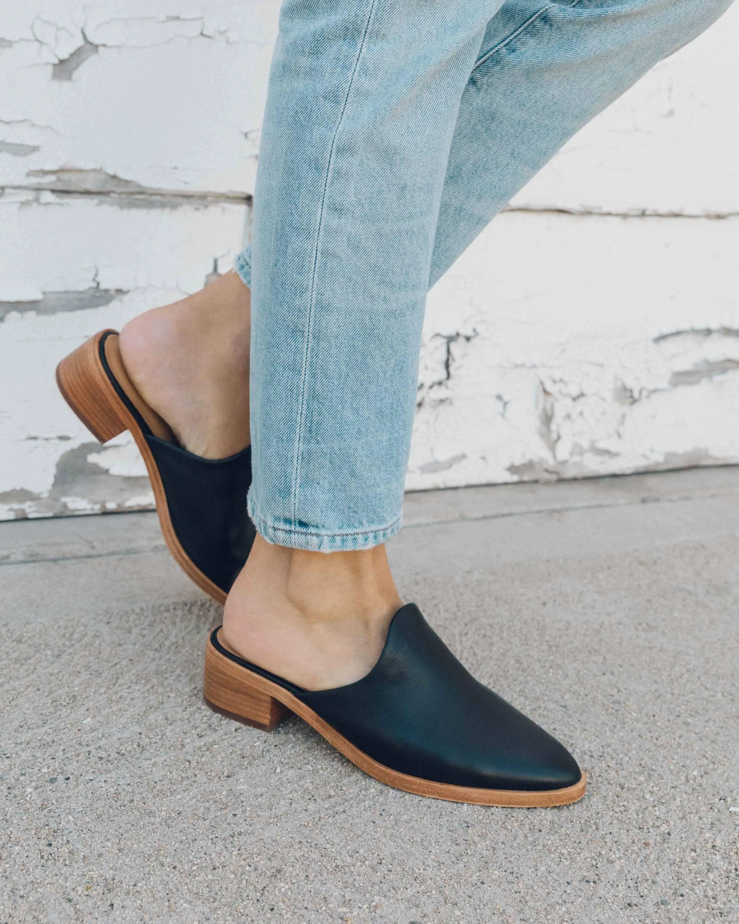 Venetian Mule