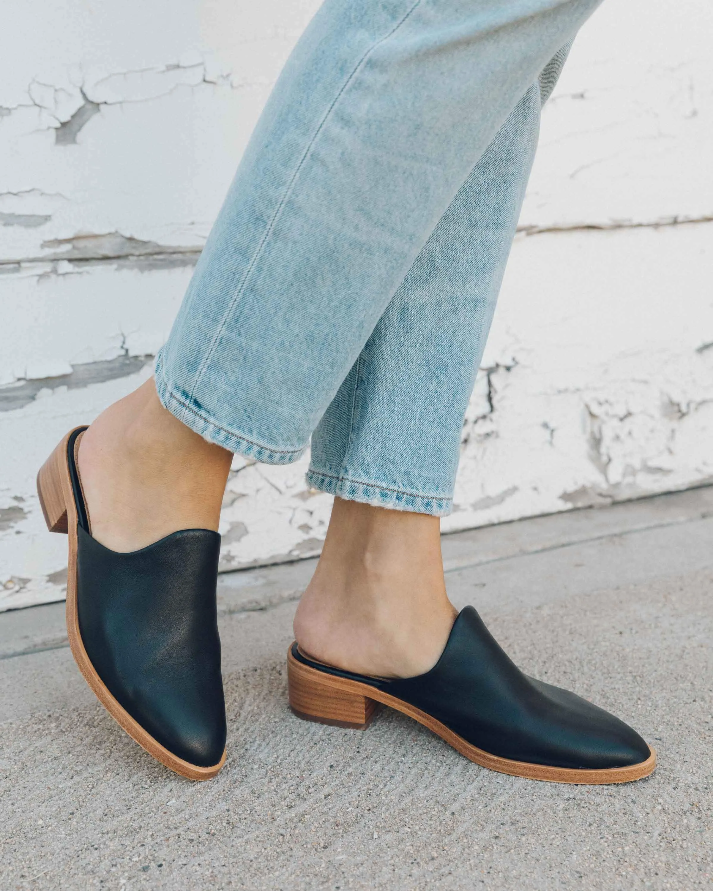 Venetian Mule