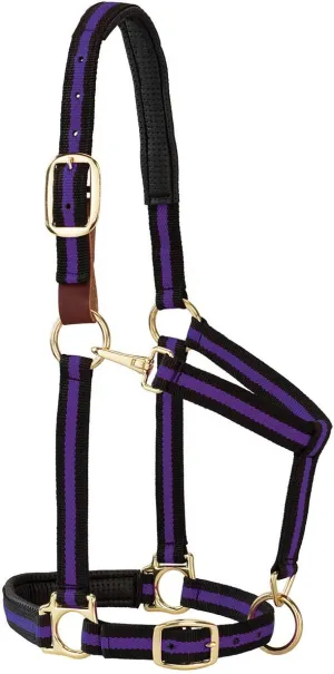 Weaver Equine Breakaway Horse Halter, Comfort Foam Padding, Adjustable Chin & Throat Snap Halters for Horses, Equine Tack,Average Size